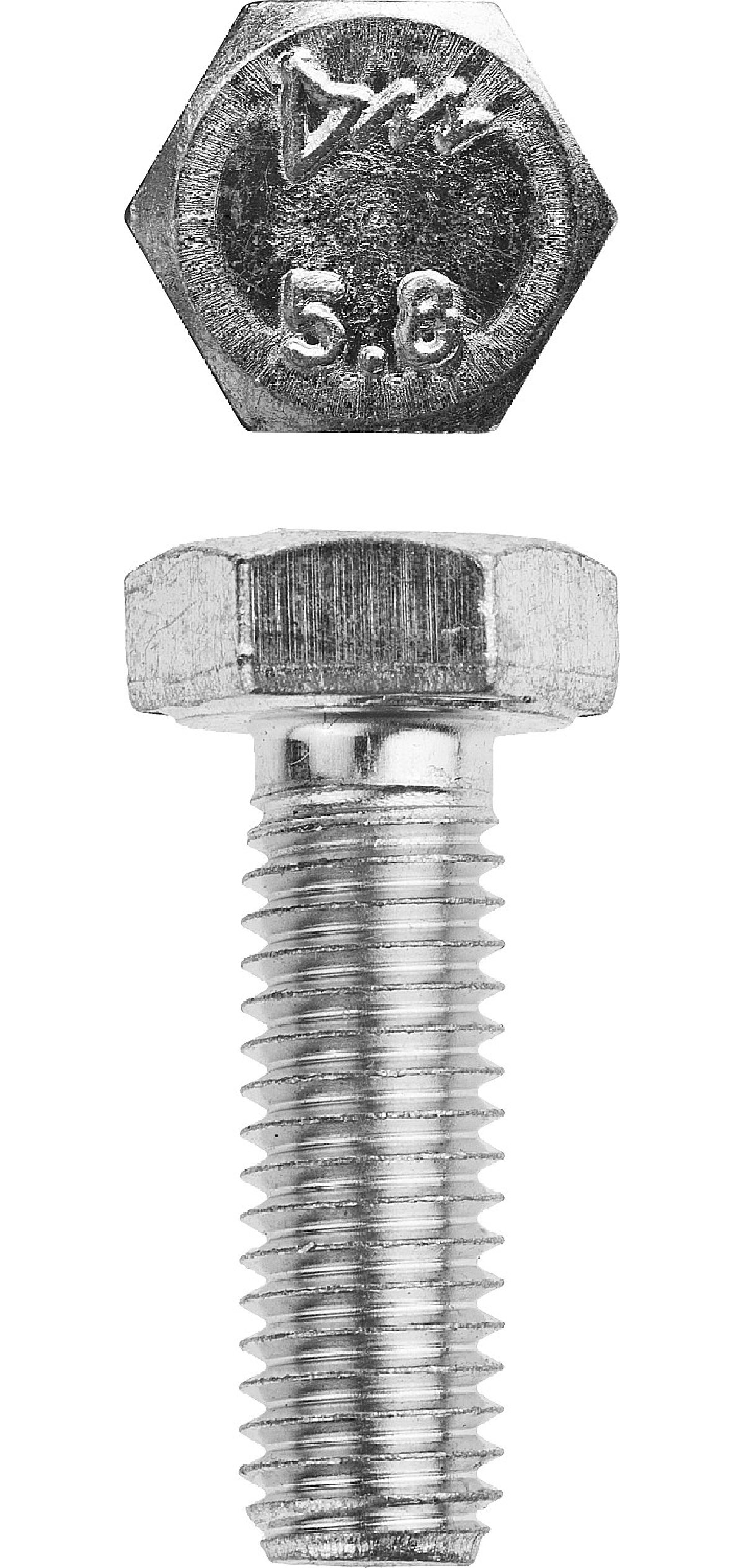 Болт ЗУБР ГОСТ 7798-70 кл. пр. 5.8 M8 x 20 мм 5 кг. (426 шт.) (303080-08-020)