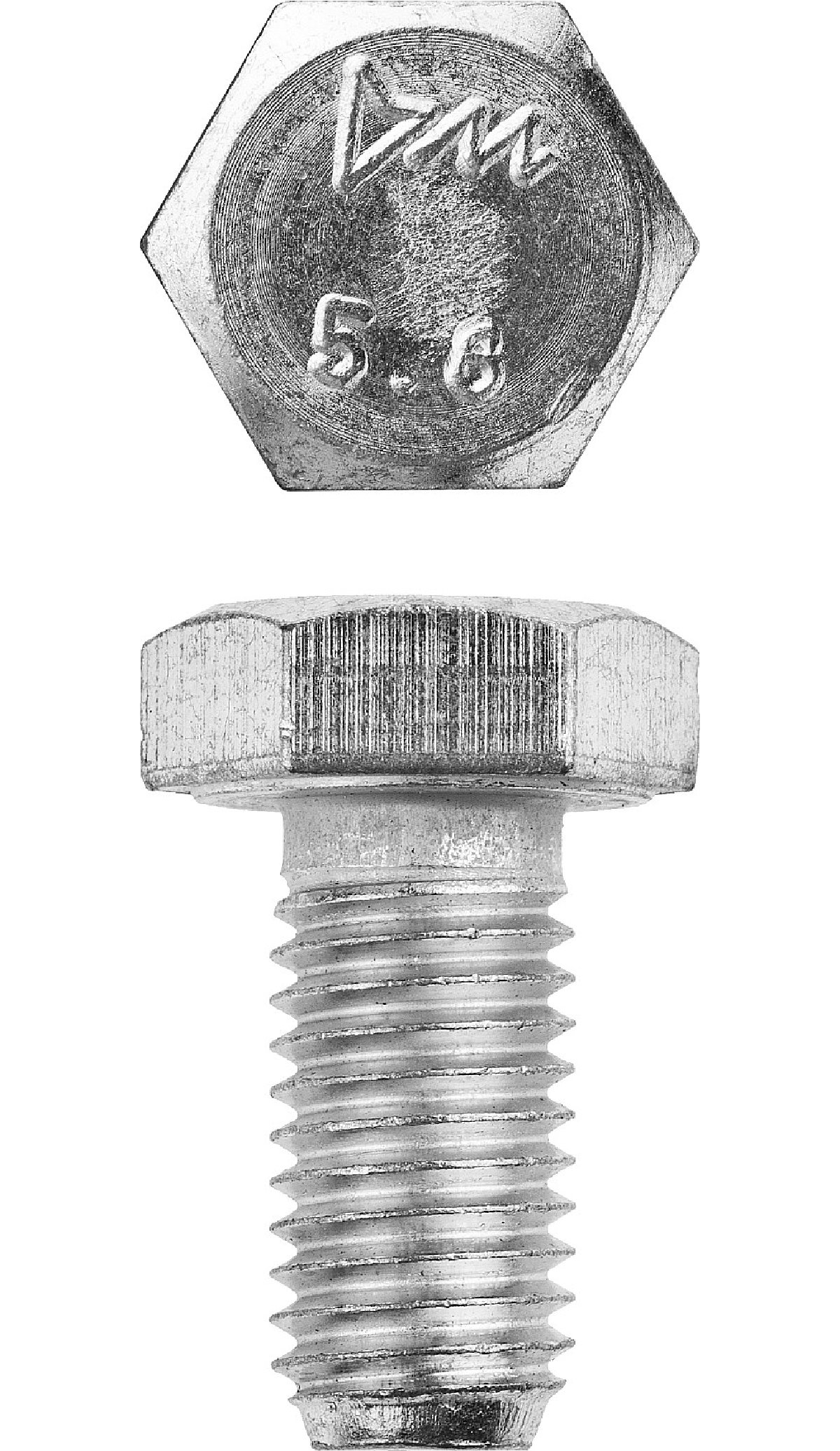 Болт ЗУБР ГОСТ 7798-70 кл. пр. 5.8 M12 x 20 мм 5 кг. (161 шт.) (303080-12-020)