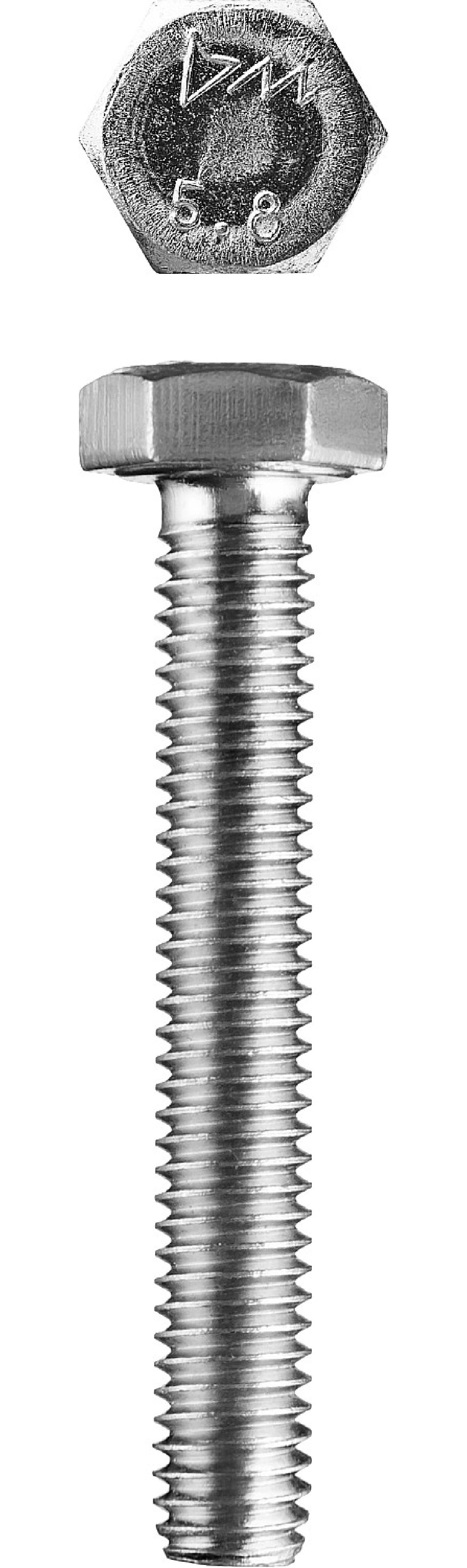 Болт ЗУБР ГОСТ 7798-70 кл. пр. 5.8 M20 x 160 мм 5 кг. (13 шт.) (303080-20-160)