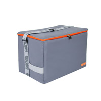 Сумка-холодильник Биосталь TCP-20G-Z серия Дискавери, 20л, цвет-ледяной графит