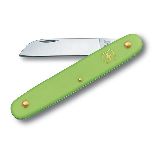 Нож Victorinox EcoLine Floral, 100 мм, 1 функция, салатовый (3.9050.47B1)