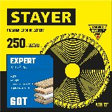 STAYER EXPERT 250 x 32 30 60,    ,  , (3682-250-32-60_z01)