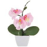 Орхидея в горшке AF-01 (004638)